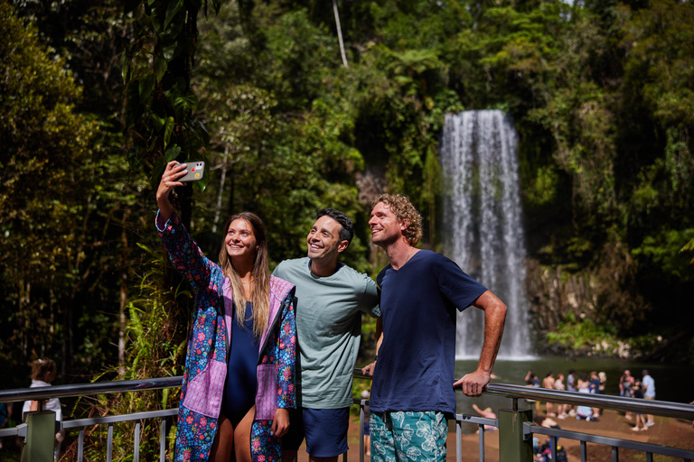 Desde Cairns Excursión de Ecoaventura y Natación en Atherton Tablelands