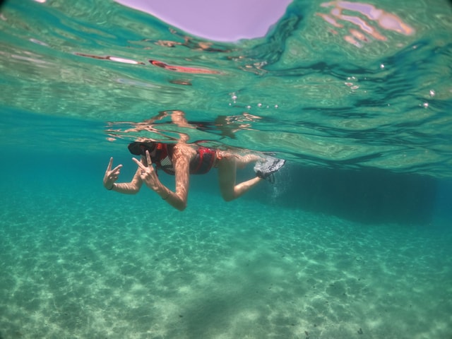 VIP Snorkeling with Turtles Adventure