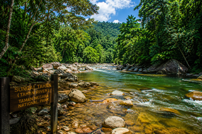 Taman Negara Tour