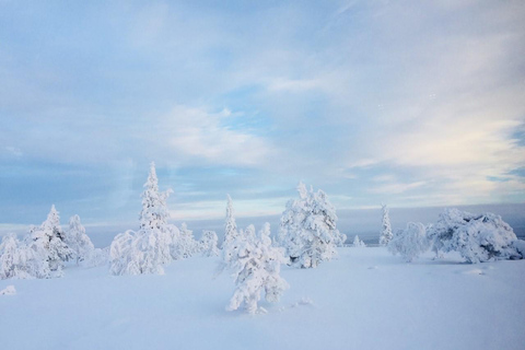 Randonnée en raquettes à neige avec boissons traditionnelles en Laponie