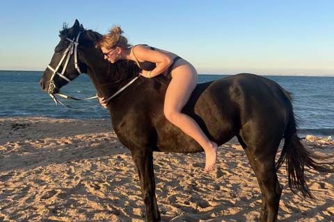Hurghada: Horse Riding in the Desert & Beach Experience 1 HR Desert Horse Riding Experience without transfer