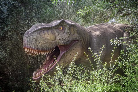 From Palma de Mallorca: Dinosaurland tour