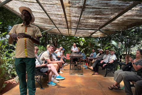 From Nairobi: Tea and Coffee Farm Tour with Tastings