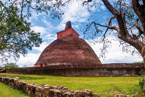 Sri Lanka : Tour de 4 días por el Triángulo Cultural con 3 noches y 4 días