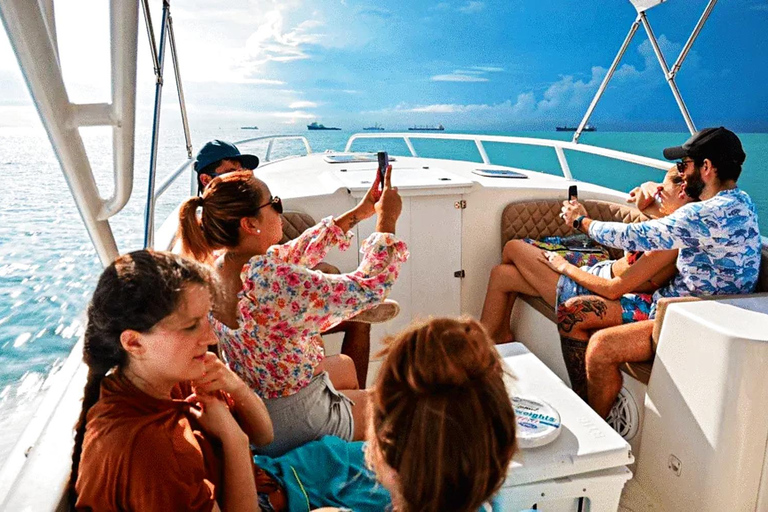 Panama: Las Perlas Archipelago Whale Watching Tour