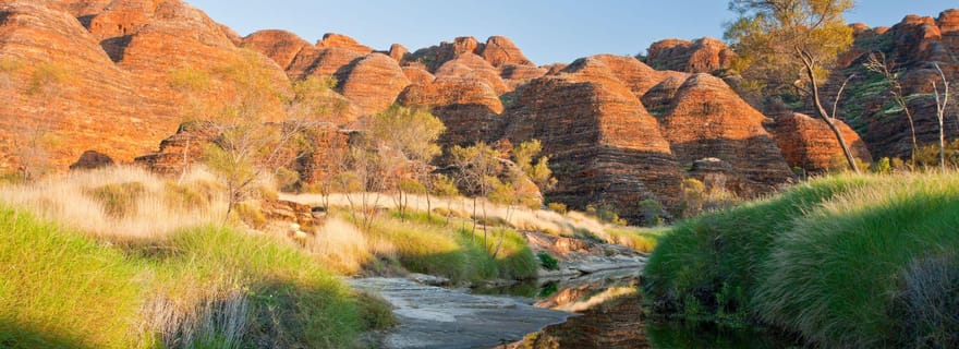 Au départ de Broome : Vol panoramique Bungle Bungle Explorer