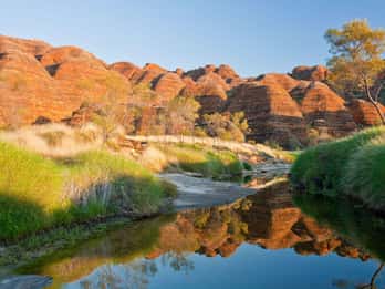 Da Broome: Volo panoramico Bungle Bungle Explorer
