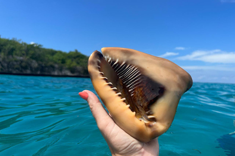 La Romana: Catalina Island for Mein Schiff Cruise Passengers