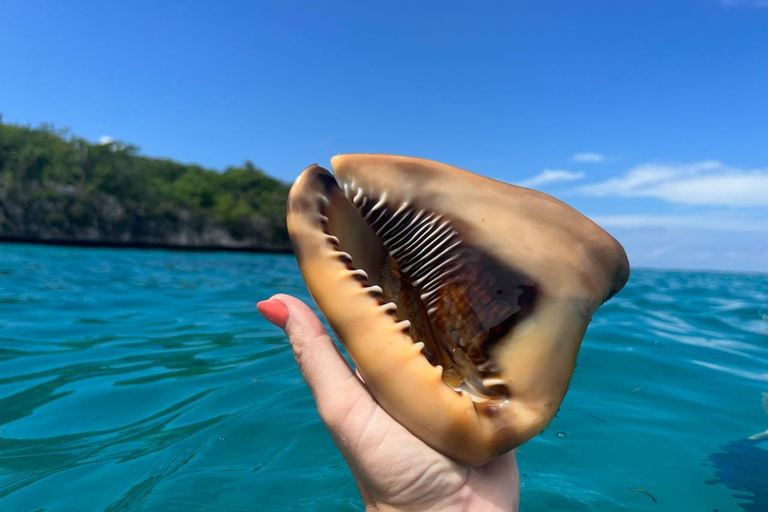 La Romana: Catalina Island for Mein Schiff Cruise Passengers