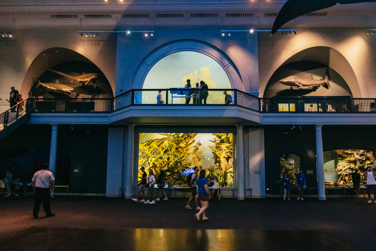 New York City: American Museum of Natural History Ticket General Admission