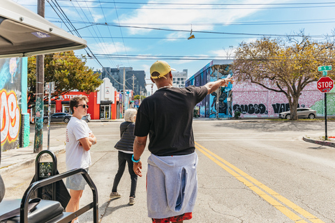 Wynwood Art District: 1-stündige Street-Art-Tour im Golfcart