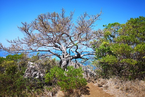 Maurice aventureuse : voyage privé avec hôtel et activités