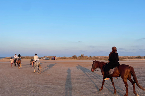 Djerba: 1,5-stündiger Ausritt an den Stränden der Insel und durch die Lagune
