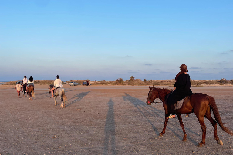 Djerba: 1,5-stündiger Ausritt an den Stränden der Insel und durch die Lagune