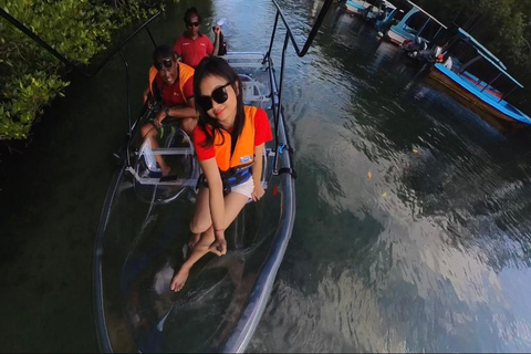 From Lembongan: Explore Mangrove with Kayak/Paddleboard/Boat Discover Mangrove Forest Tour by Paddle Board