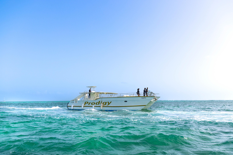 Crucero en barco por Punta Cana con snorkel y barra libre