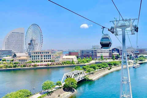 Tokyo: Kamakura & Enoshima Private Guided Day Trip