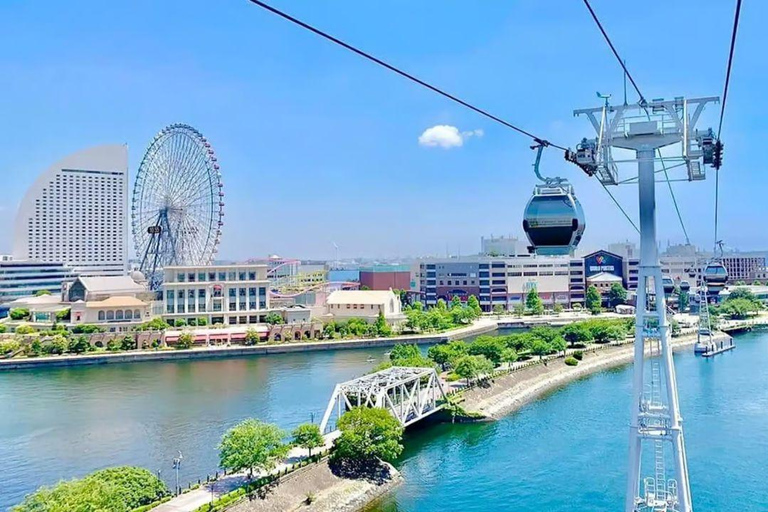 Tokyo: Kamakura & Enoshima Private Guided Day Trip