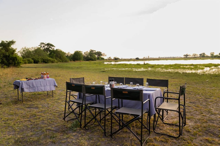 Mokoro Safari Experience in the Okavango Delta