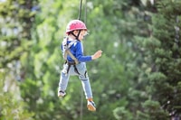 Gatlinburg, Zipline Canopy Tour - Housity