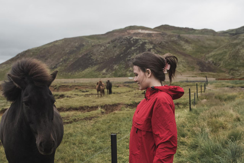 Reykjavik: Icelandic Horse Ride in Lava Fields – All Levels