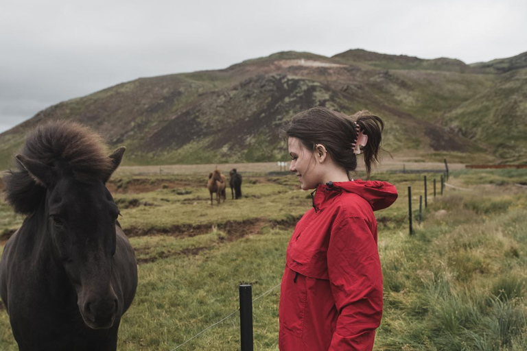 Reykjavik: Icelandic Horse Ride in Lava Fields – All Levels