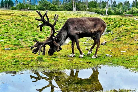 Scenic Tour to Wildlife Center with hotel pickup