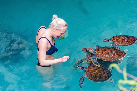 Zanzibar: las Jozani i jaskinia Salaam z odbiorem z hoteluWYCIECZKA PRYWATNA: z odbiorem z hotelu ze WSZYSTKICH HOTELI na Zanzibarze