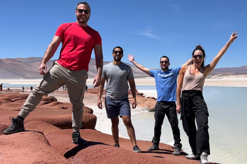 San Pedro Atacama: Lagunas de Baltinache y tour en autobús mágico