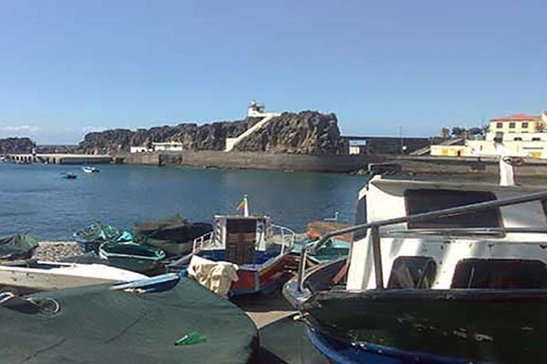 Madeira - Tour dei vigneti Degustazione di vini - Incluso