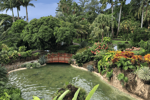 From Pointe-à-Pitre: Death in Paradise & Botanical Garden