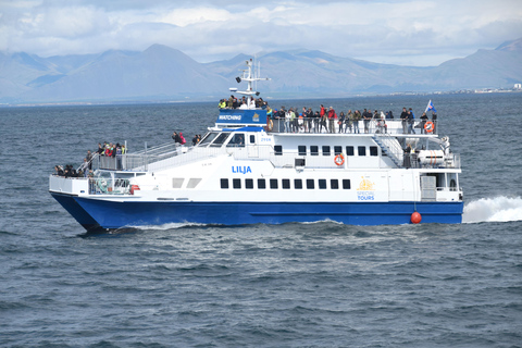 Akureyri : excursion d&#039;observation des baleines et entrée à la lagune forestièreObservation des baleines et lagune forestière