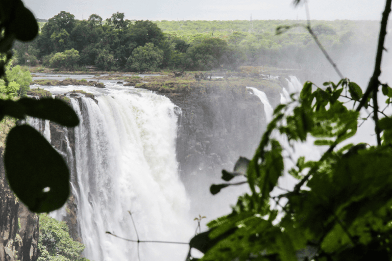 Sunrise Tour of Victoria Falls via Big Tree & Falls Bridge