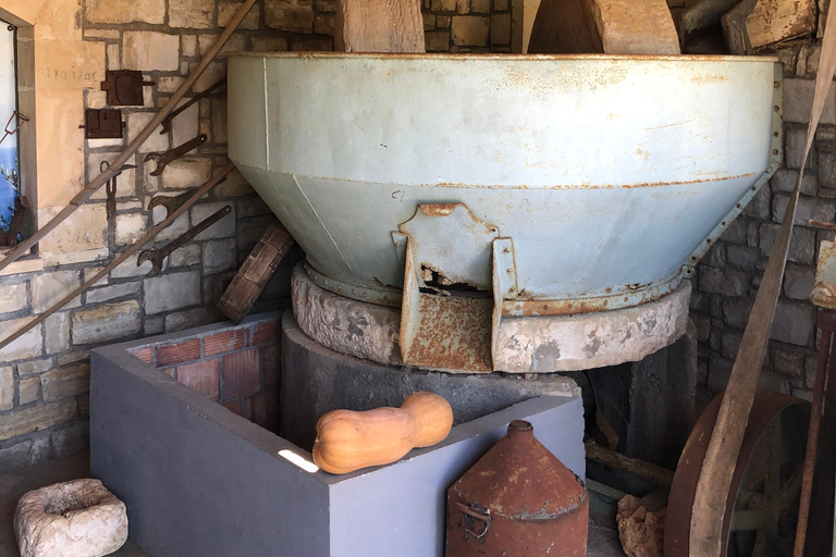 Découvrez les secrets du vin et des olives à RéthymnonRethymno : Visite d'un vignoble et d'un moulin à huile avec dégustation et déjeuner