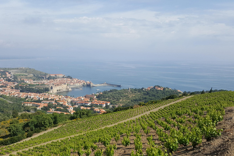 Collioure: Vineyard Tour & Wine Tasting Collioure: Vineyard Tour & Tasting