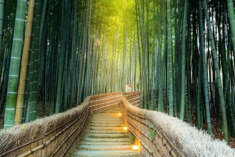 Kyoto Private Customizable Day Tour with Driver-Guide Kyoto Private Tour with Driver