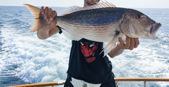 Fishing Trip in Alicante