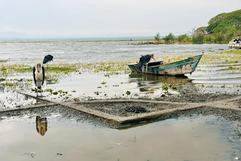 Addis Ababa: Faces & Street Photo Walk Experience