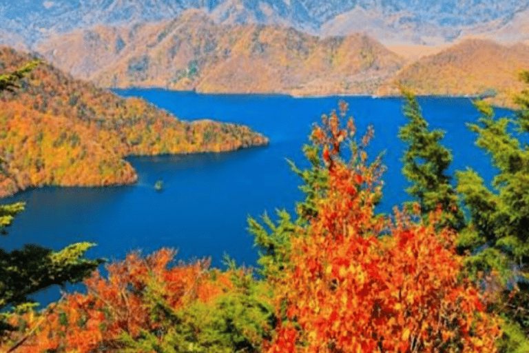 Desde Tokio: Excursión privada de un día a Nikko, Patrimonio de la Humanidad