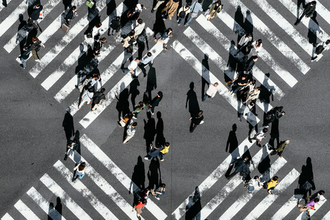 Tokyo: 2-Day Guided Tour with Kamakura & Hotel Pickup