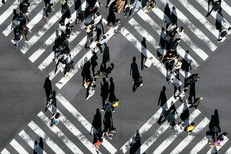 Tokyo: 2-Day Guided Tour with Kamakura & Hotel Pickup