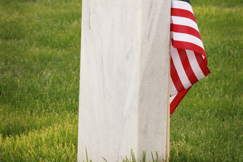 Washington, D.C.: Guided Tour of Military Memorials