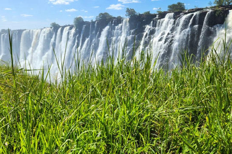 Sunrise Tour of Victoria Falls via Big Tree & Falls Bridge