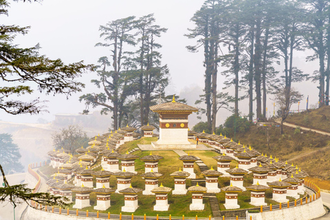 5 Day Bhutan Bird & Nature Photography Escape with Stay/Meal