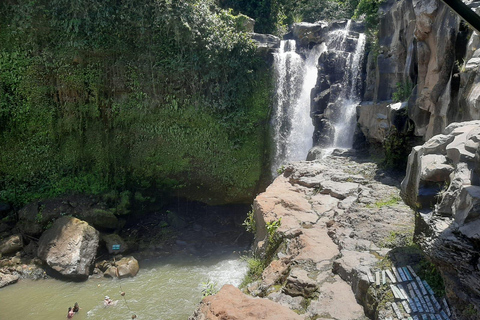 Ubud: Foresta di scimmie, terrazze di riso e cascateUbud: Foresta di scimmie, terrazza di riso e cascata