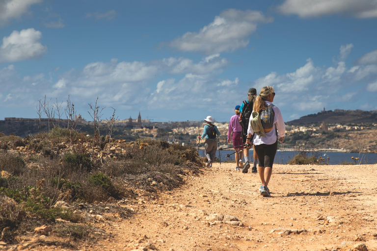 From Bugibba: Comino and Gozo Cruise with Swim Stops