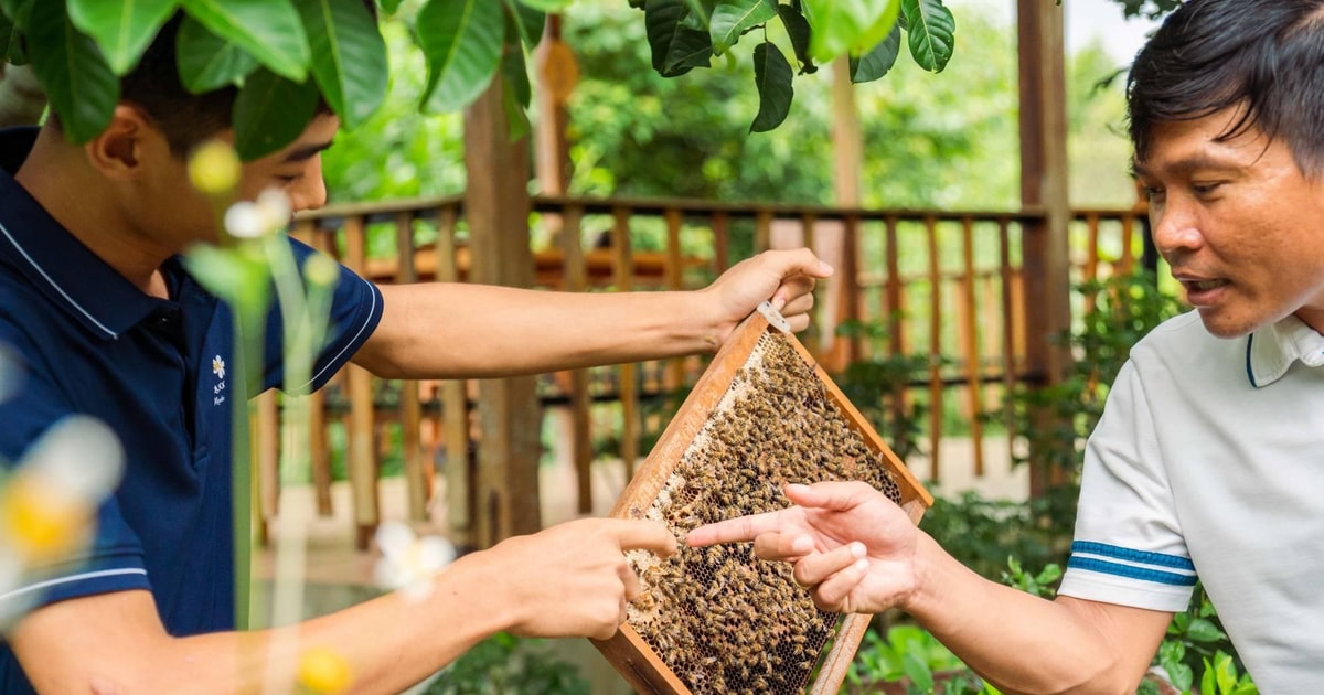 From Phu Quoc: Full-Day Sightseeing Tour of the North