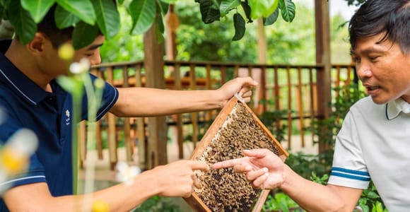 From Phu Quoc: Full-Day Sightseeing Tour of the North