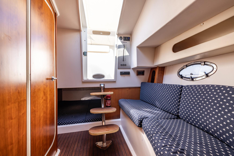 Frankfurt am Main: Private boat tour for up to 10 guests with skyline view