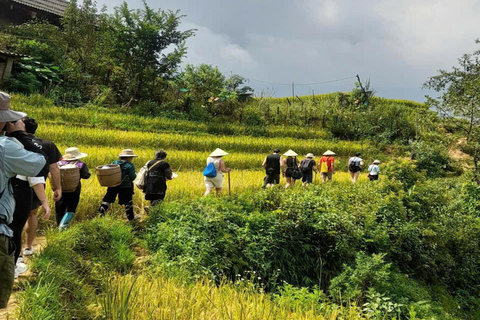 Sapa Small Group 2-Day Fansipan &amp; Trekking All InclusiveFrom Hanoi With Bungalow All Inclusive